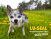 REJECTS EDITION: Lu-Seal 2022 Calendar